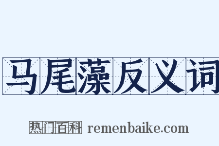 马尾藻反义词是什么意思的图片